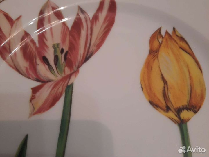 Тарелки блюда Германия