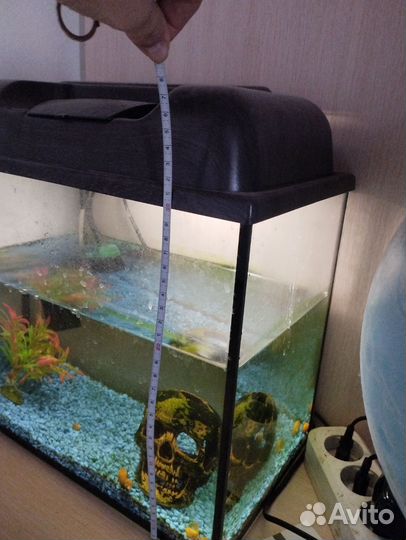 Аквариум