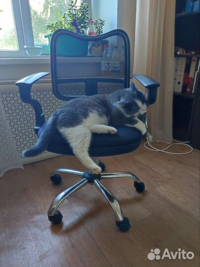 Компьютерное кресло