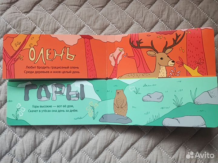 Книги для малышей