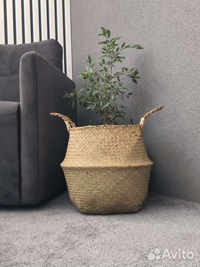 Плетение кашпо, корзина