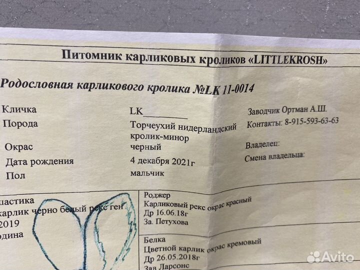 Вязка кролика