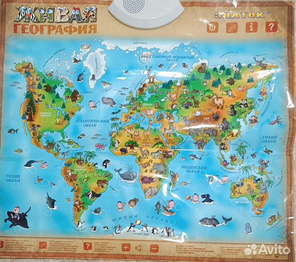 Игра живая география