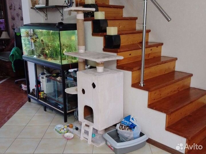 Домик для кошки с иными аксессуарами