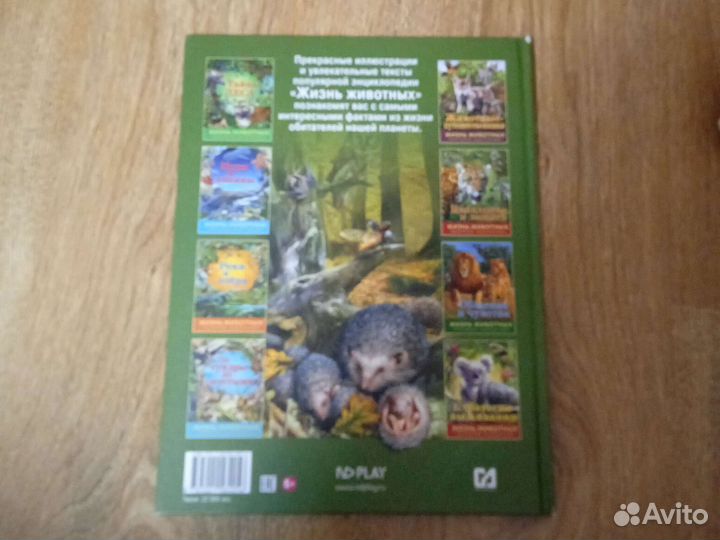 Нападение и защита