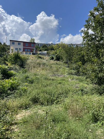 Участок 12 сот. (СНТ, ДНП)