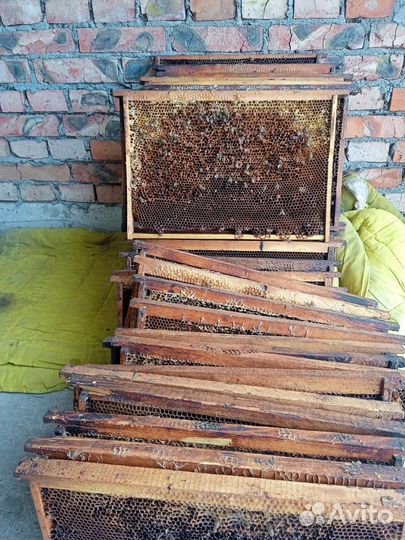 Сушь для пчел на 300