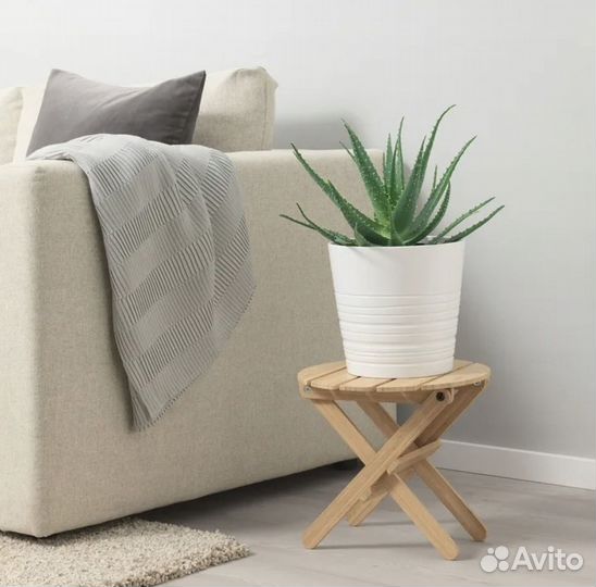 Набор 6 шт керамических кашпо IKEA Мускот