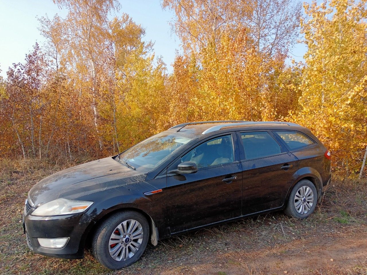 Ford Mondeo: фото владельца