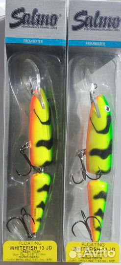 Salmo whitefish 13JDR-GT