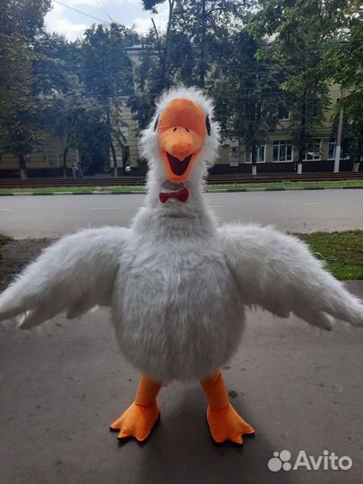 Экспресс поздравление.Ростовая кукла.гусь обнимусь