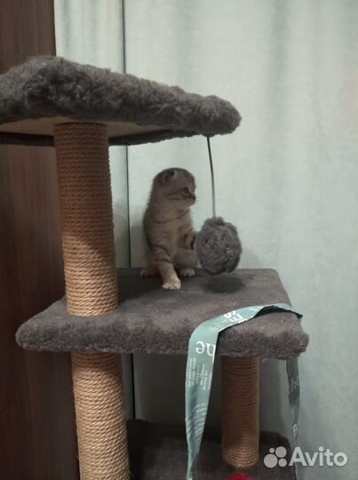 Домик для кошки с когтеточкой