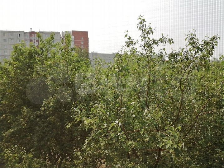 1-к. квартира, 49,8 м², 2/9 эт.