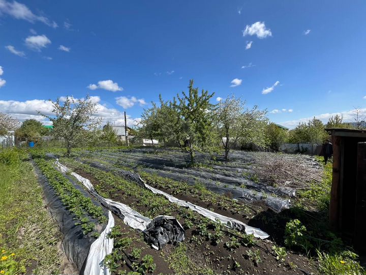 Участок 6 сот. (СНТ, ДНП)