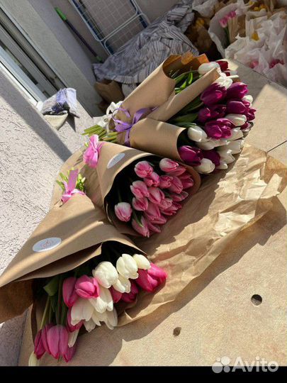 Продажа цветы тюльпаны