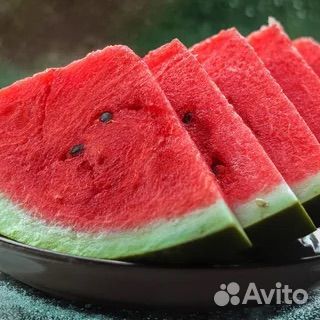 Арбуз оптом