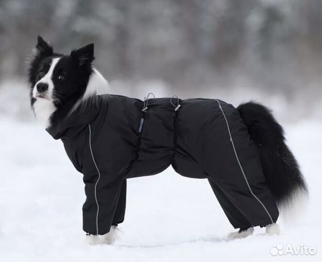 Зимний комбинезон для собаки