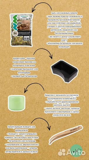 Геккон эублефар