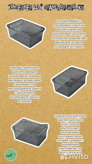 Эублефар геккон малыш