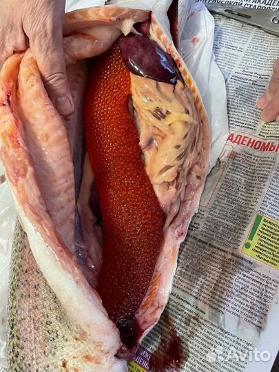 Форель с икрой