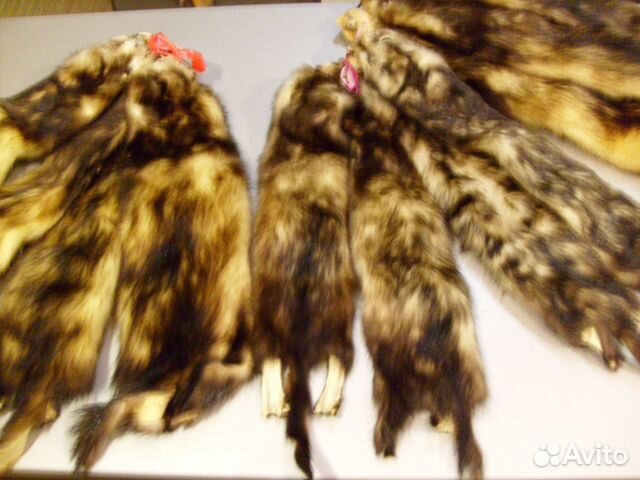 Шкурки хонорика