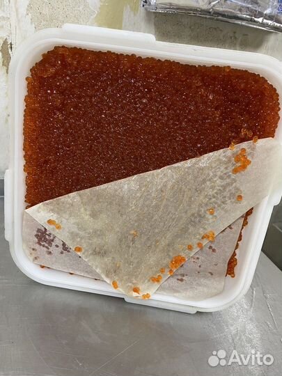 Икра красная кеты 2023