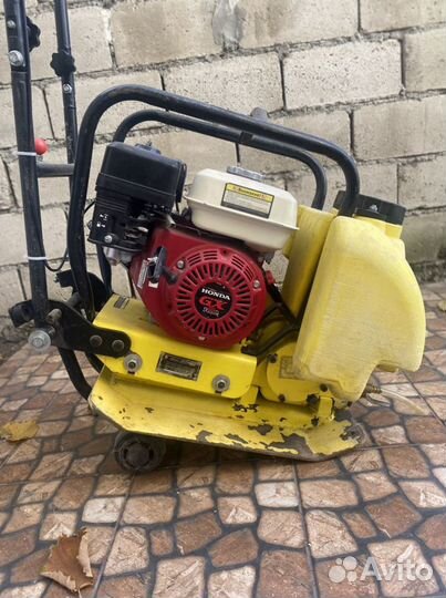 Аренда, прокат виброплита трамбовка