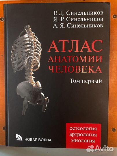 Анатомический Атлас Синельников