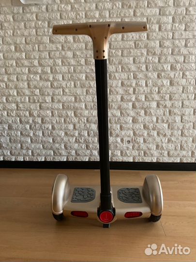 Гироскутер iralan TT 10 дюймов