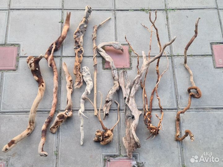 Коряги дрифтвуд