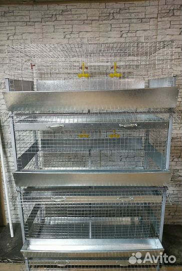 Клетка для кур несушек