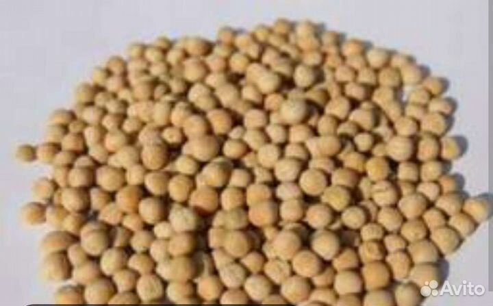 Семена гороха