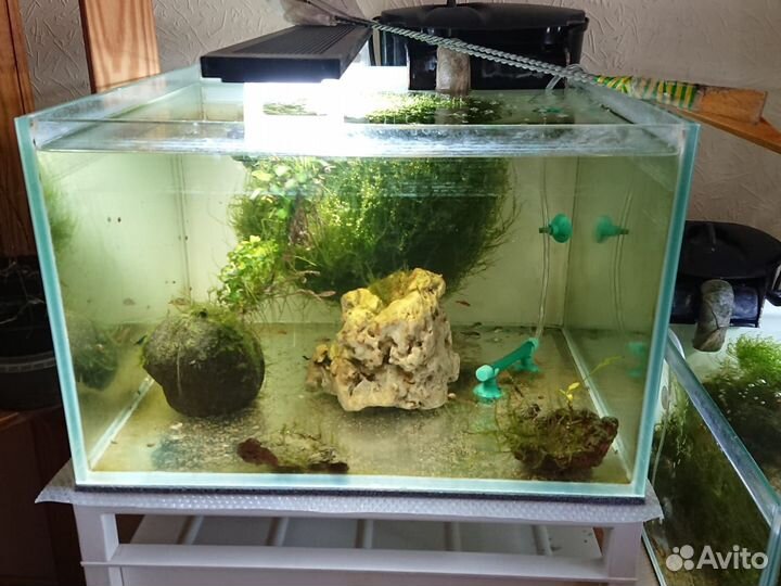Аквариум с наполнением