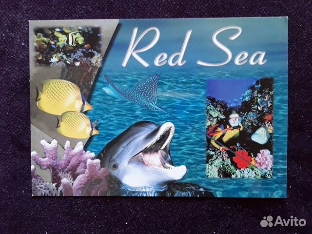 Открытка Египетская