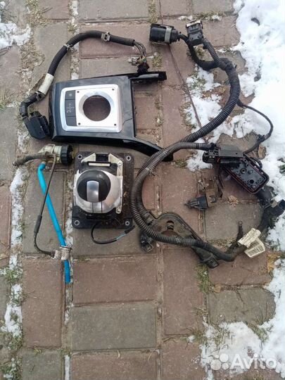 Селектор ркпп