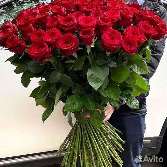 101 роза цветы букеты доставка 25 51 101 роза