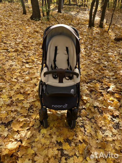 Коляска noordi 2 в 1