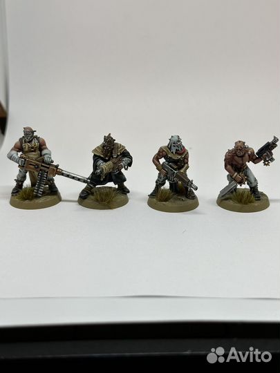Chaos cultists