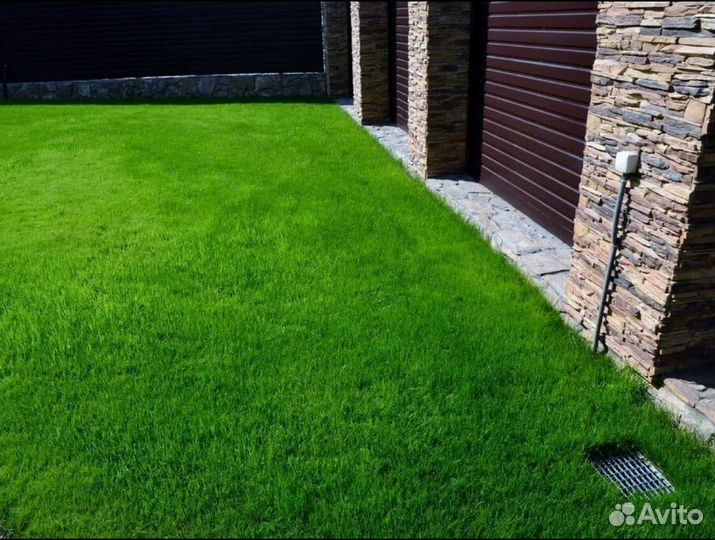 Рулонный газон Стандартный