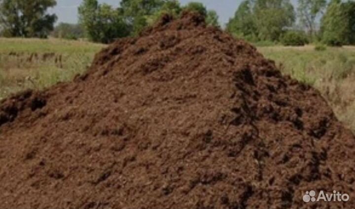 Чернозем Перегной