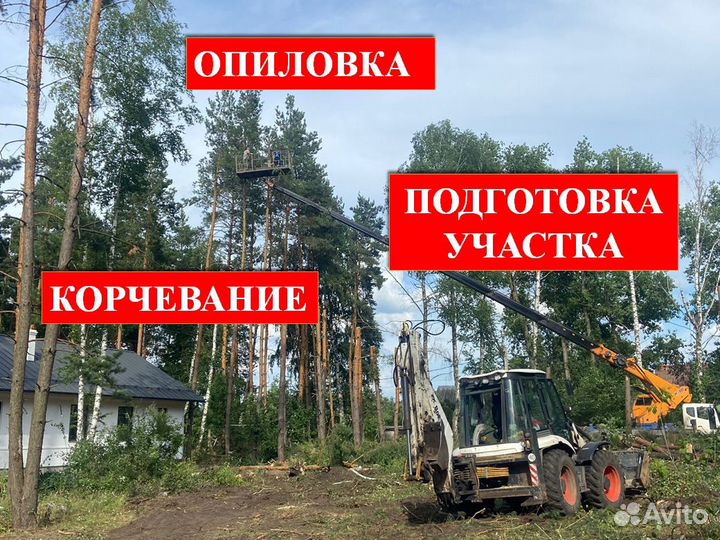Выпиливание деревьев, подготовка участка, спил