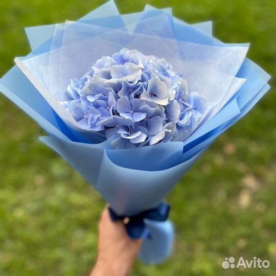 Букет Гортензия. Цветы. Доставка