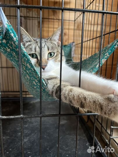 Почему меня никто не замечает