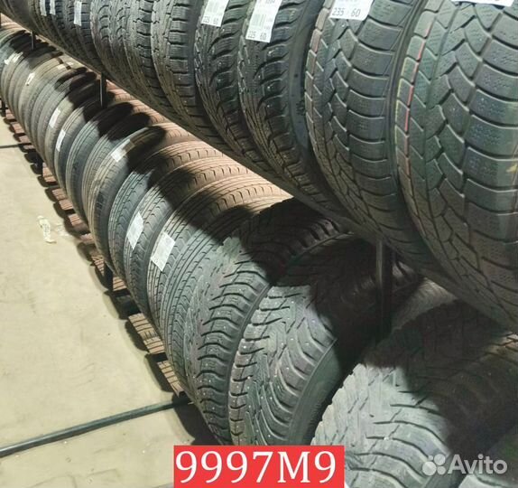 Tigar Winter 1 205/60 R16 96T