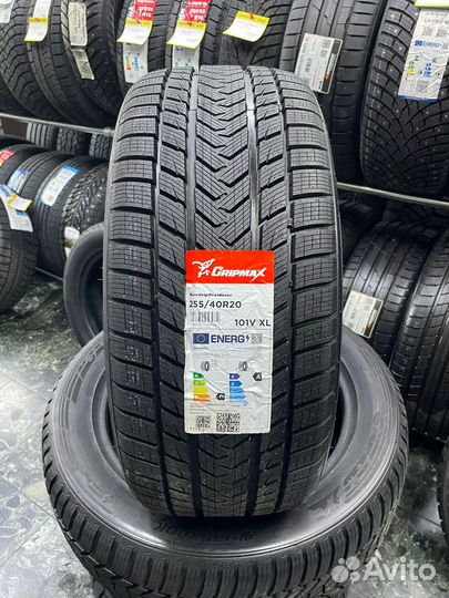 Gripmax SureGrip Pro Winter 255/40 R20 101V