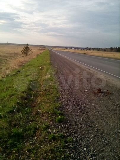 Участок 5,3 га (СНТ, ДНП)