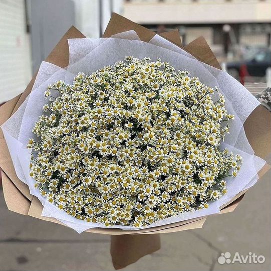 Ромашки букет