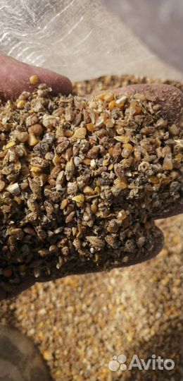 Комбикорма, зерно на Комсомолке с доставкой