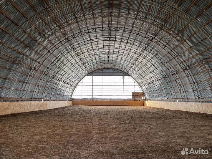 Продается готовый бизнес (конюшня)