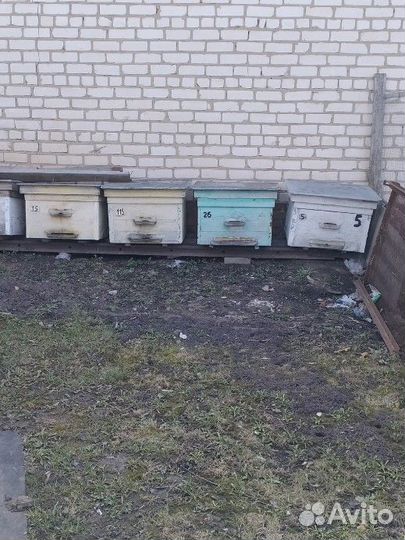 Ульи для пчел